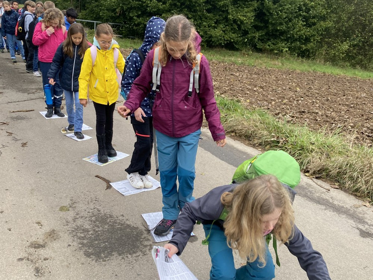 Unsere 5. Klassen auf Erkundungstour: Ein spannender Tag auf der Jugendfarm