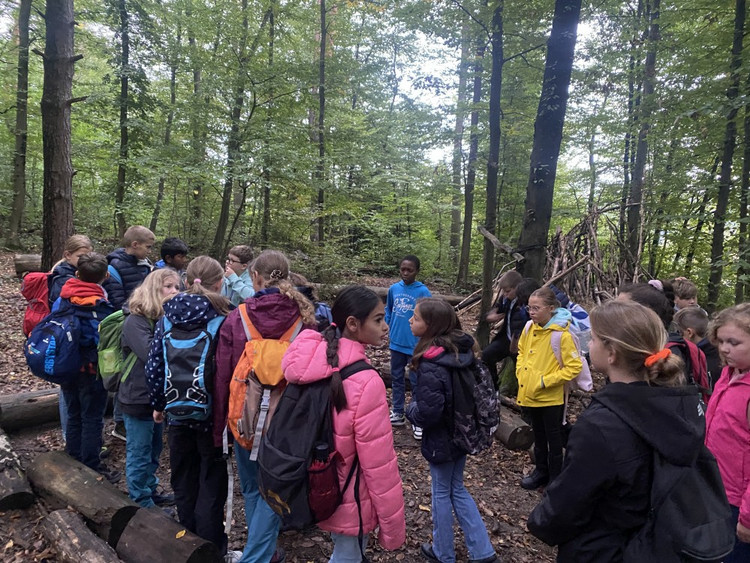 Unsere 5. Klassen auf Erkundungstour: Ein spannender Tag auf der Jugendfarm
