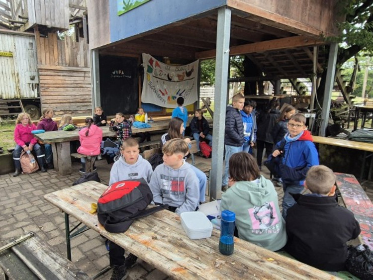 Unsere 5. Klassen auf Erkundungstour: Ein spannender Tag auf der Jugendfarm
