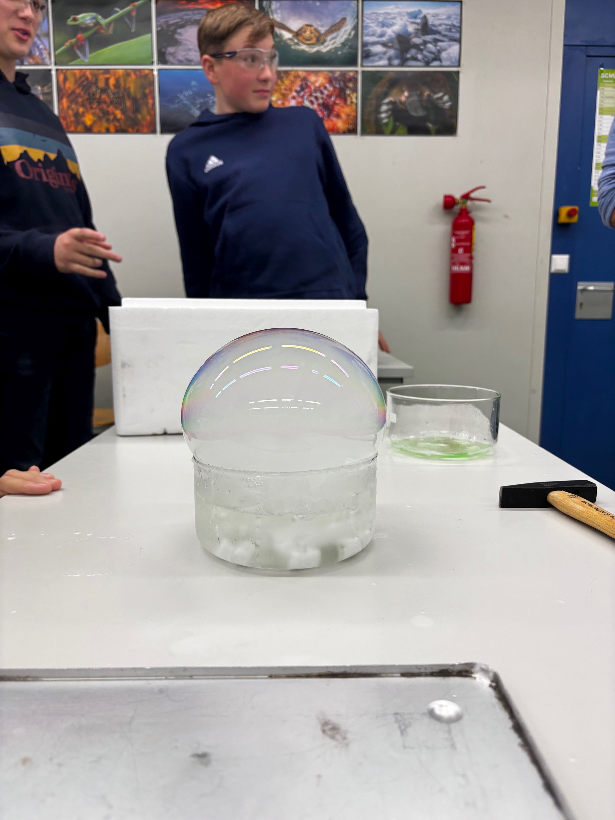 Fehling Lab